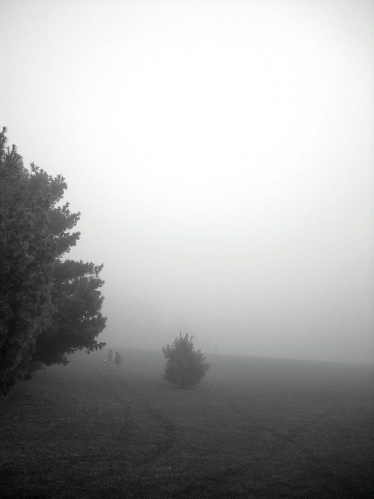 painter, Kansas City, Missouri, 2008